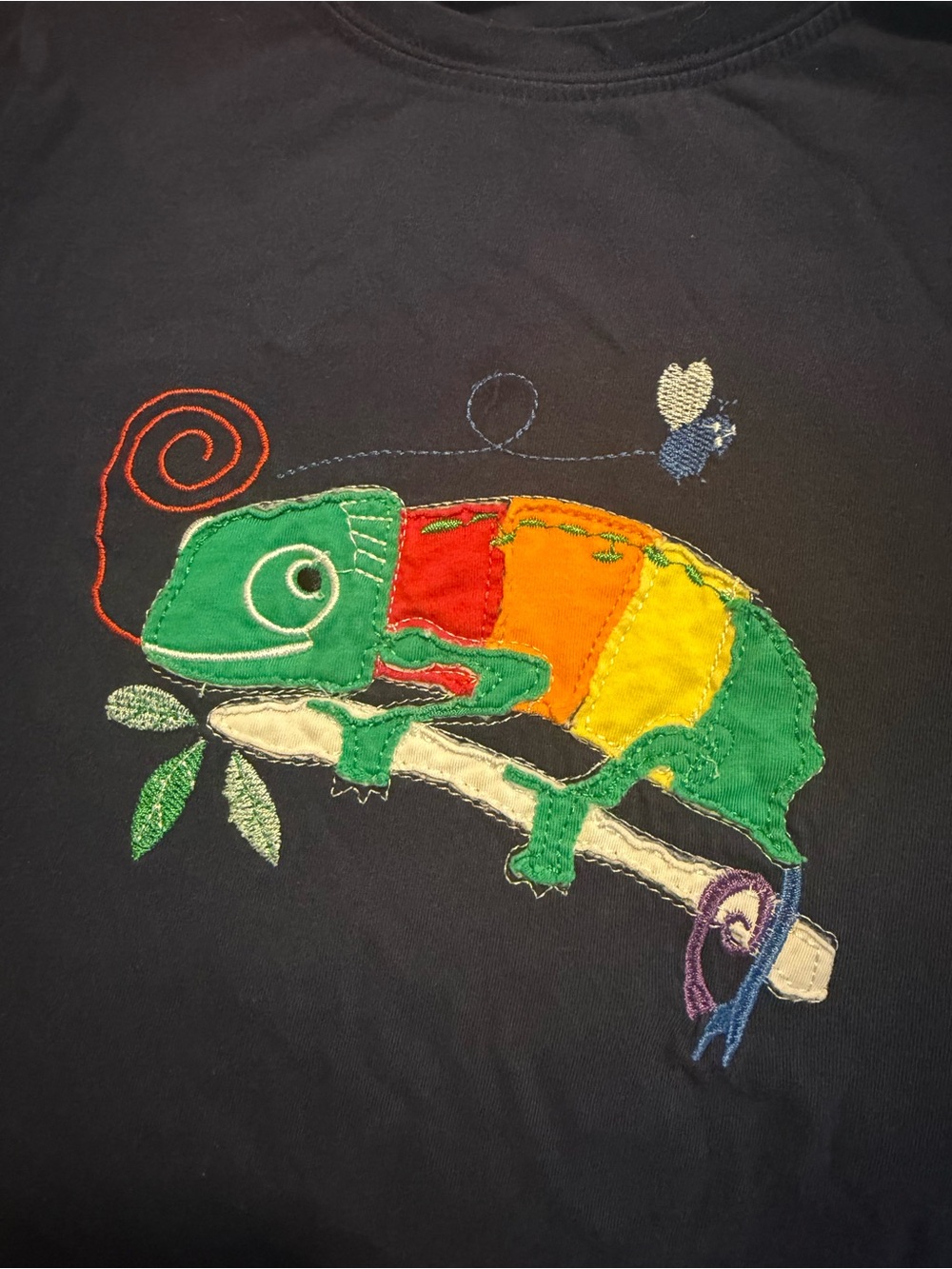 Embroidered Shirt - Picture 2 of 4